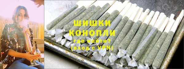 спиды Бикин